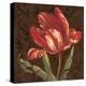 Tulipa II-Jillian Jeffrey-Stretched Canvas