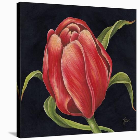 Tulipe Rouge Stretched Canvas Print Constance Lael Art Com Tulipe Rouge Stretched Canvas Print Constance Lael Art Com