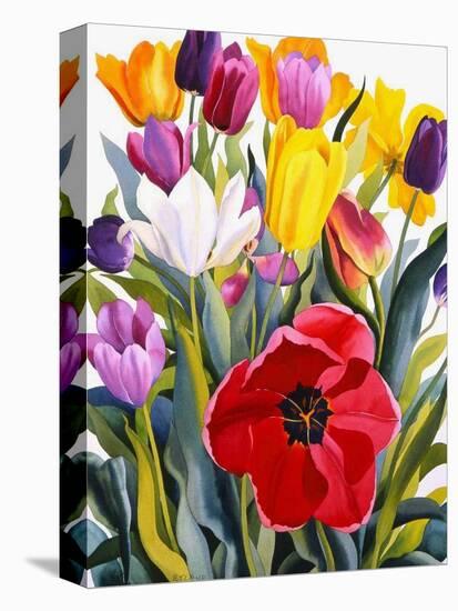 Tulips, 2007-Christopher Ryland-Premier Image Canvas