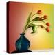 Tulips 5-Mark Ashkenazi-Premier Image Canvas