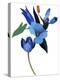 Tulips and Blue Flowers, 2003 (Gouache on Paper and Adobe Photoshop)-Hiroyuki Izutsu-Premier Image Canvas