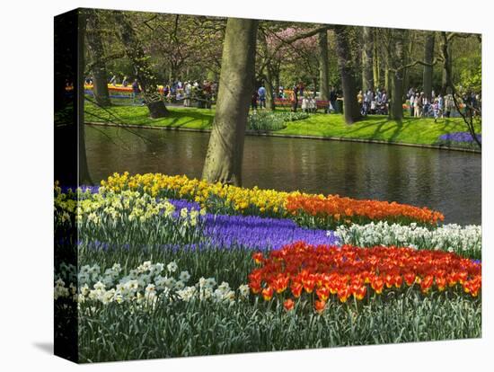 Tulips and Daffodils in Bloom in Keukenhof Gardens, Amsterdam, Netherlands-Keren Su-Premier Image Canvas