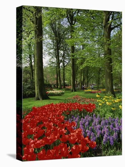 Tulips and Hyacinths in the Keukenhof Gardens at Lisse, the Netherlands, Europe-Groenendijk Peter-Premier Image Canvas