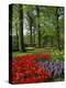 Tulips and Hyacinths in the Keukenhof Gardens at Lisse, the Netherlands, Europe-Groenendijk Peter-Premier Image Canvas