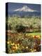 Tulips and Pear Orchard Below Mt. Hood-John McAnulty-Premier Image Canvas