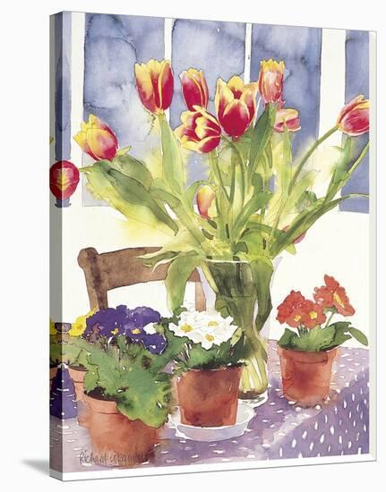 Tulips and Primulas-Richard Akerman-Stretched Canvas