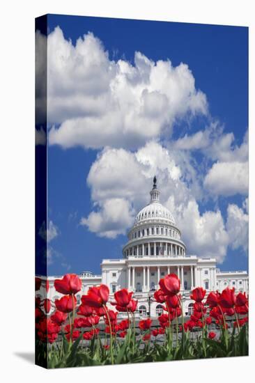 Tulips Blooming in Front of the Capitol Building, Washington DC, USA-Jaynes Gallery-Premier Image Canvas