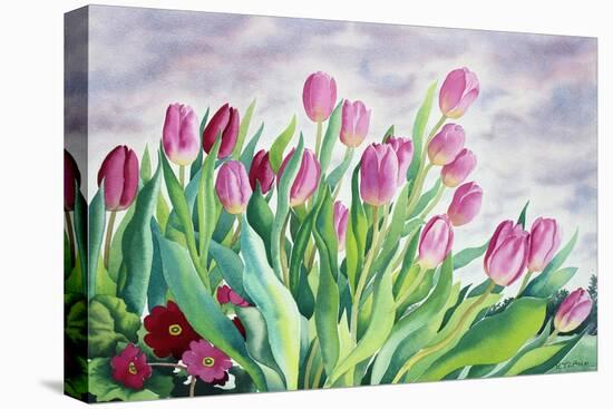 Tulips by Window-Christopher Ryland-Premier Image Canvas