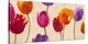 Tulips & Colors-Luca Villa-Stretched Canvas