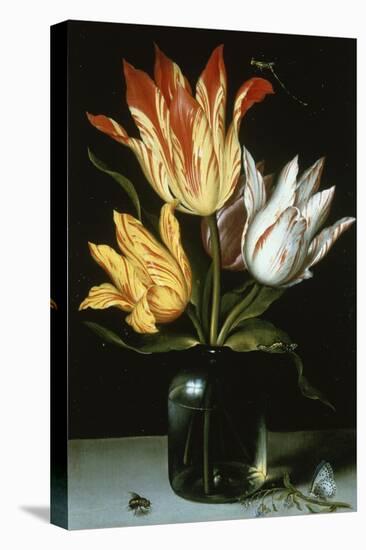Tulips in a Glass Vase-Ambrosius Bosschaert the Elder-Premier Image Canvas