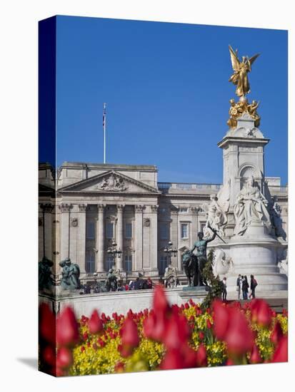 Tulips in Front of Buckingham Palace and Victoria Memorial, London, England, United Kingdom, Europe-Jane Sweeney-Premier Image Canvas