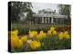 Tulips in Garden of Monticello, Virginia, USA-Merrill Images-Premier Image Canvas