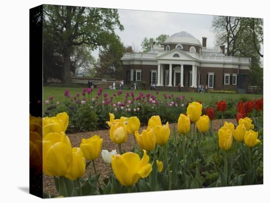 Tulips in Garden of Monticello, Virginia, USA-Merrill Images-Premier Image Canvas