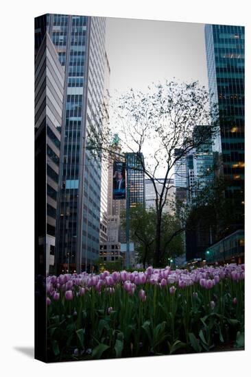 Tulips in Manhattan-Erin Berzel-Premier Image Canvas