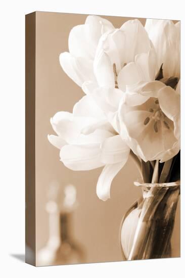 Tulips in Sepia-Christine Zalewski-Stretched Canvas