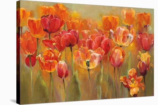 Tulips in the Midst III-Marilyn Hageman-Stretched Canvas