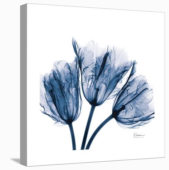 Tulips Indigo-Albert Koetsier-Stretched Canvas