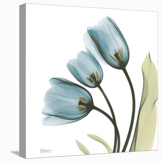 Tulips L87-Albert Koetsier-Stretched Canvas