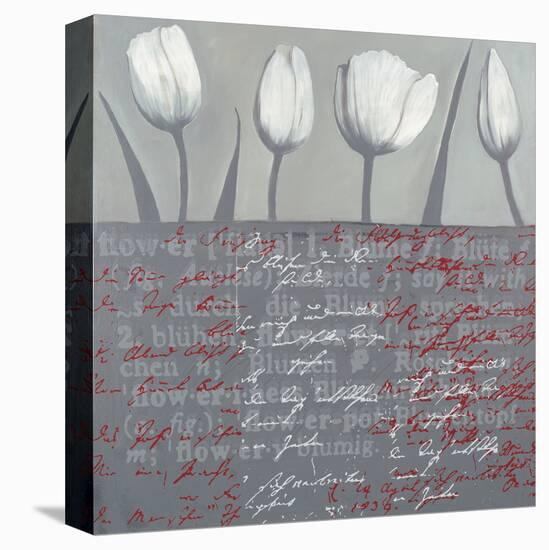 Tulips Parade in Grey-Anna Flores-Stretched Canvas