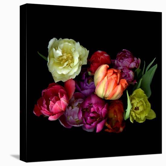 tulips-Magda Indigo-Premier Image Canvas