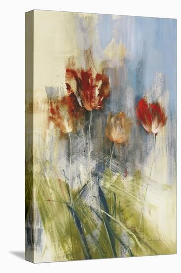 Tulips-Simon Addyman-Stretched Canvas
