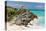 Tulum Mexico Beach Mayan Ruins-null-Stretched Canvas