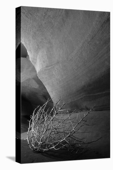 Tumbleweed on Ledge in Antelope Canyon, Page, Arizona, USA-Adam Jones-Premier Image Canvas