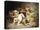 Tumbling Retriever Puppies-Frederico Olaria-Premier Image Canvas