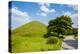 Tumuli Park with its Tombs from the Shilla Monarchs-Michael Runkel-Premier Image Canvas