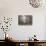 Tumut Atmospherics-John Bradley-Premier Image Canvas displayed on a wall