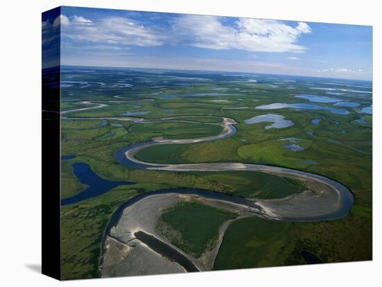 Tundra in Alaska-Danny Lehman-Premier Image Canvas