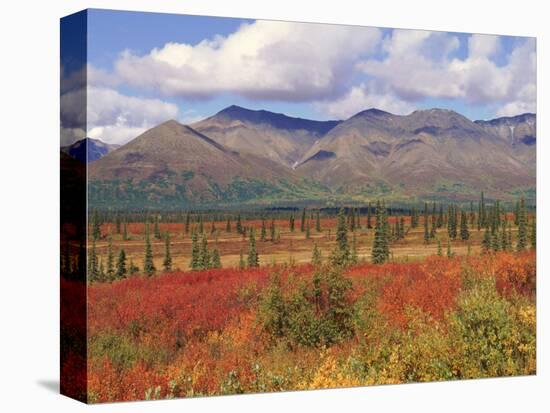 Tundra Landscape in Autumn, Denali National Park, Alaska USA-Lynn M. Stone-Premier Image Canvas