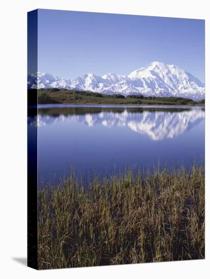 Tundra Pond in Summer, Denali National Park, Mount Mckinley, Alaska, Usa-Gerry Reynolds-Premier Image Canvas