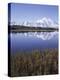 Tundra Pond in Summer, Denali National Park, Mount Mckinley, Alaska, Usa-Gerry Reynolds-Premier Image Canvas