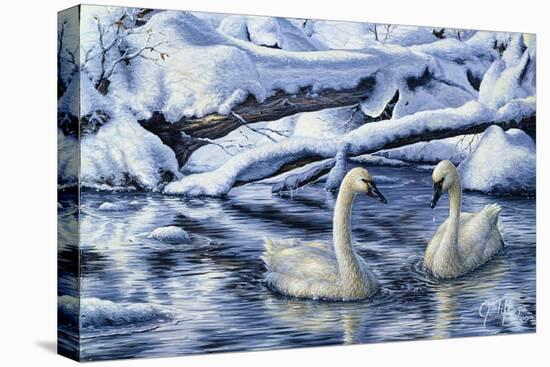 Tundra Swans-Jeff Tift-Premier Image Canvas