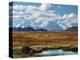 Tundra West of the Eieson Visitors Center, Pond with Beaver House, Mt. Denali, Alaska, USA-Charles Sleicher-Premier Image Canvas