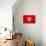 Tunisia Flag Design with Wood Patterning - Flags of the World Series-Philippe Hugonnard-Stretched Canvas displayed on a wall