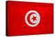 Tunisia Flag Design with Wood Patterning - Flags of the World Series-Philippe Hugonnard-Stretched Canvas