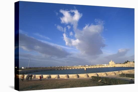 Tunisia, Kairouan, Aghlabid Basin-null-Premier Image Canvas