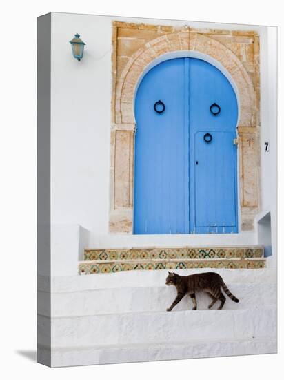 Tunisia, Sidi Bou Said, Building Detail-Walter Bibikow-Premier Image Canvas