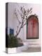 Tunisia, Sidi Bou Said, Building, Front Door-Thonig-Premier Image Canvas