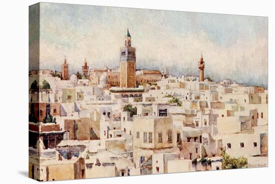 Tunisia, Tunis View 1912-Frances E Nesbitt-Stretched Canvas