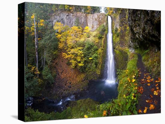 Tunnel Falls in a Fall Color Scene on Eagle Creek in the Columbia Gorge, Oregon, USA-Gary Luhm-Premier Image Canvas