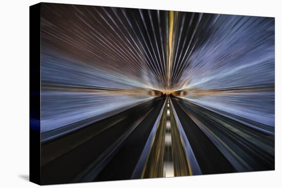 Tunnel Lights-ddmitr-Premier Image Canvas