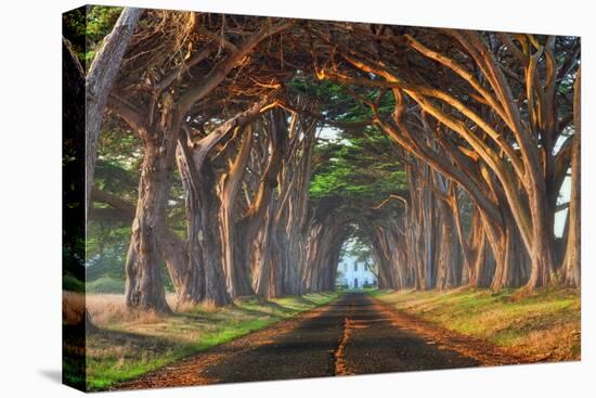 Tunnel of Light-Lee Sie-Premier Image Canvas