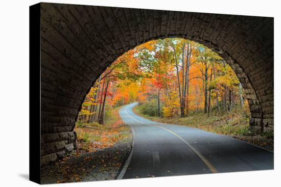 Tunnel Through Autumn, Bar Harbor, Maine, Acadia National Park-Vincent James-Premier Image Canvas