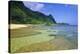 Tunnels Beach Kauai Hawaii-null-Stretched Canvas