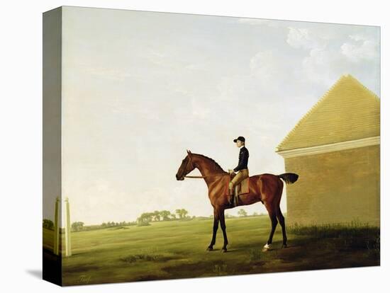 Turf, c.1765-George Stubbs-Premier Image Canvas