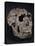 Turkana Boy Skull-Javier Trueba-Premier Image Canvas