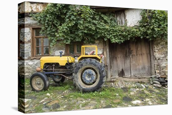 Turkey, Bursa. Cumalikizik Village Is a Ottoman Empire World Heritage Site-Emily Wilson-Premier Image Canvas